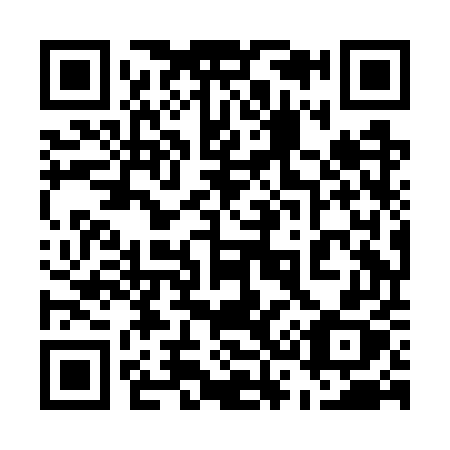 QR code for plate 538-GUX