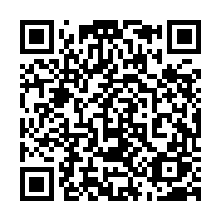 QR code for plate 538-IFP