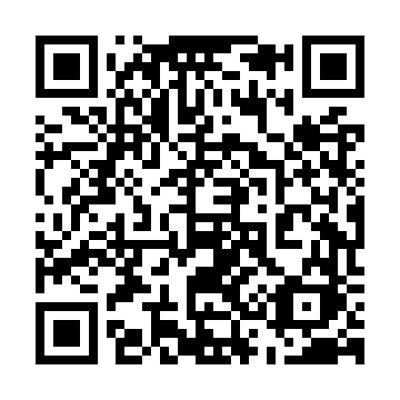 QR code for plate 538-OVK