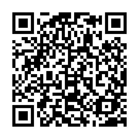 QR code for plate 538-PPK
