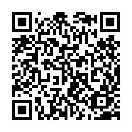 QR code for 541-TIR