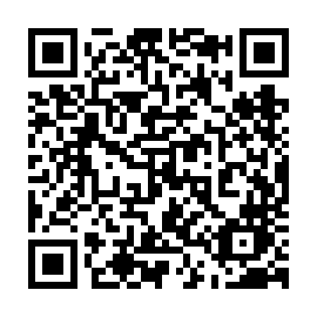 QR code for 541-VNN