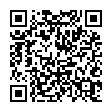 QR code for plate 541-IEE