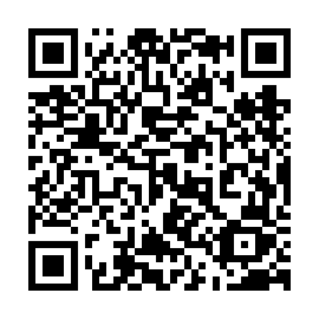QR code for plate 545-VFZ