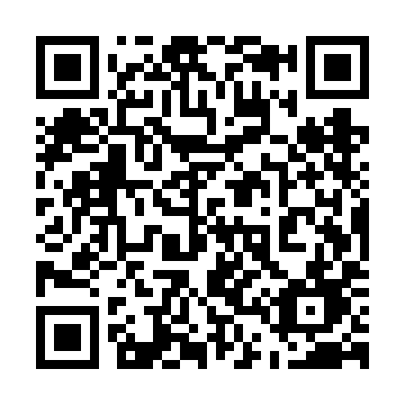 QR code for plate 545-VID