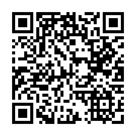 QR code for 546-ICO