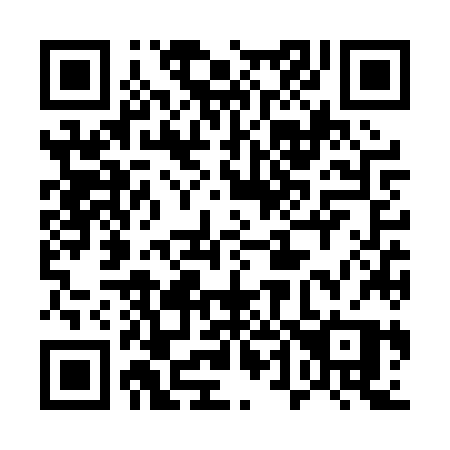 QR code for 546-PZP