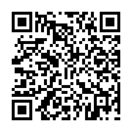 QR code for 571MEX