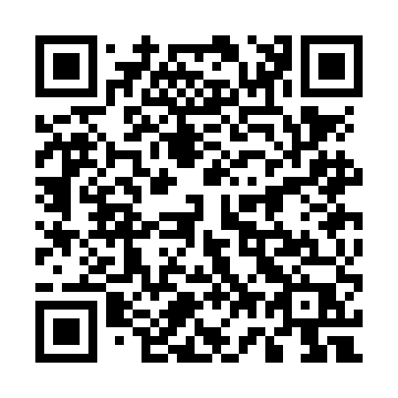 QR code for plate 573-NEP