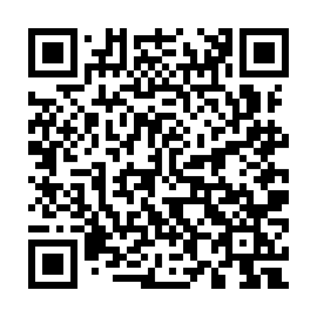QR code for plate 586-INK