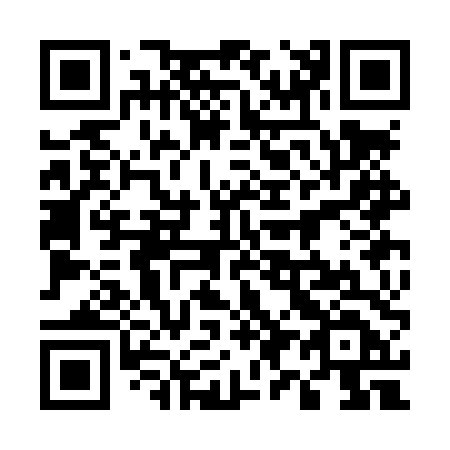QR code for plate 593-LTD
