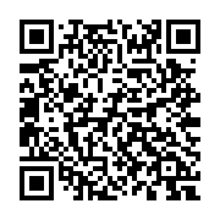 QR code for 595-PPD