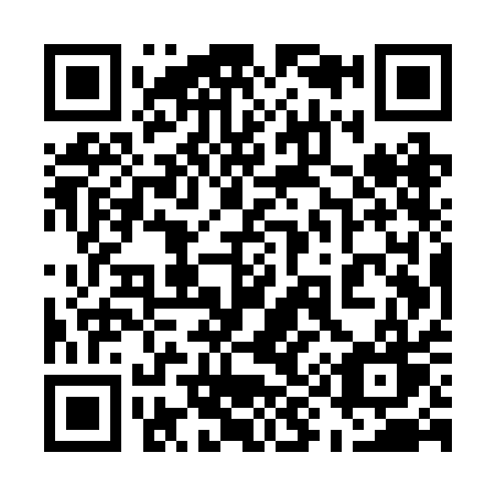 QR code for plate 595-RAW