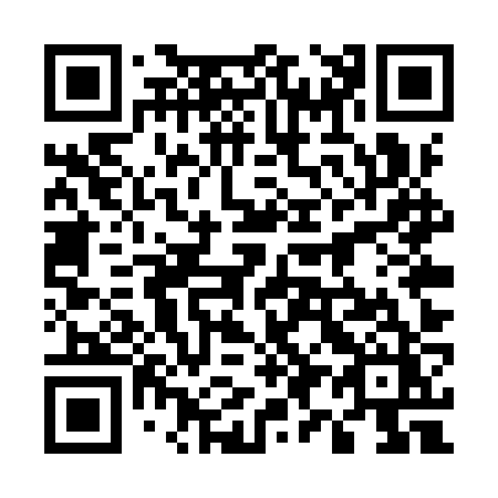 QR code for 595YZZ