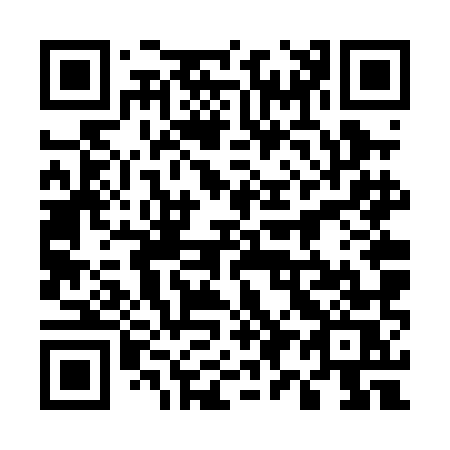 QR code for 596PMS