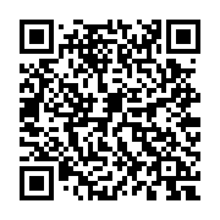 QR code for 597-PPA