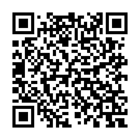 QR code for plate 599-ENN