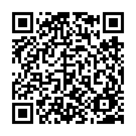 QR code for plate 599-FUD