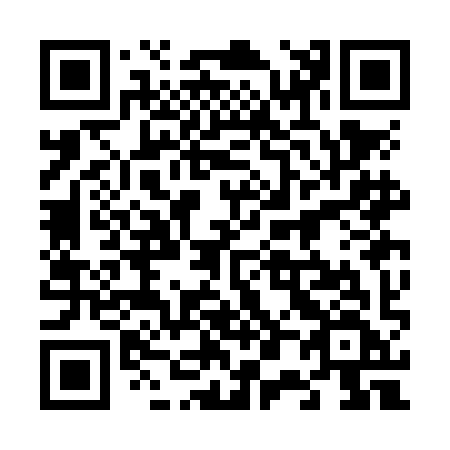 QR code for plate 603-NIF