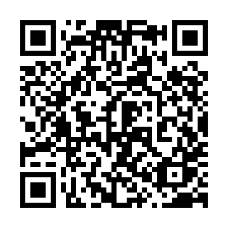 QR code for plate 603-QHS