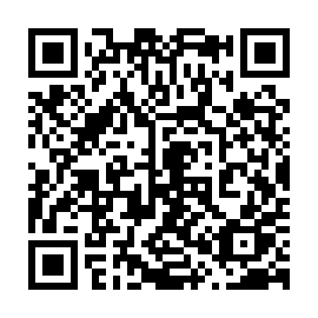 QR code for plate 603-QPP