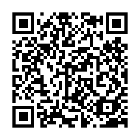QR code for 613-DAI