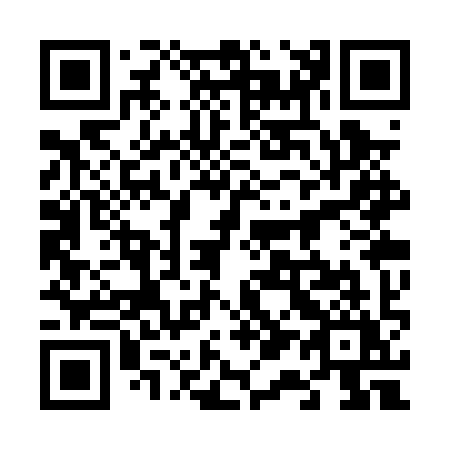 QR code for 613-PYY