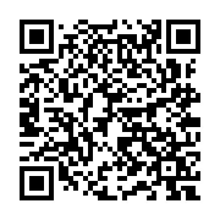QR code for 613-YOW