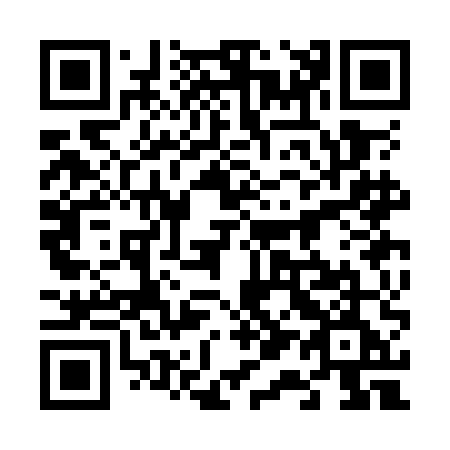 QR code for plate 613-OEE