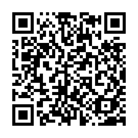 QR code for 613ZII