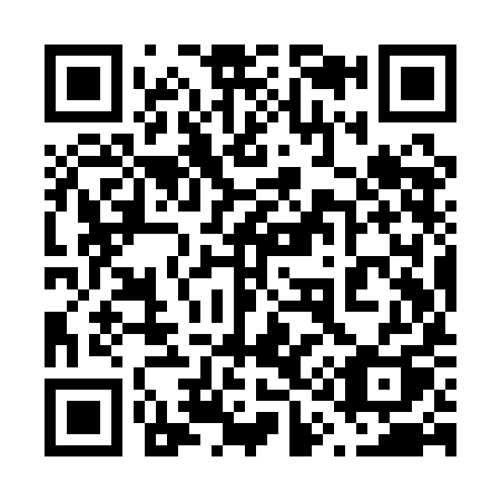 QR code for 619-QIQ