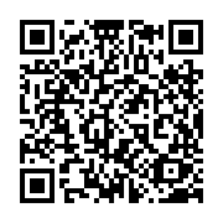 QR code for 619-SNX