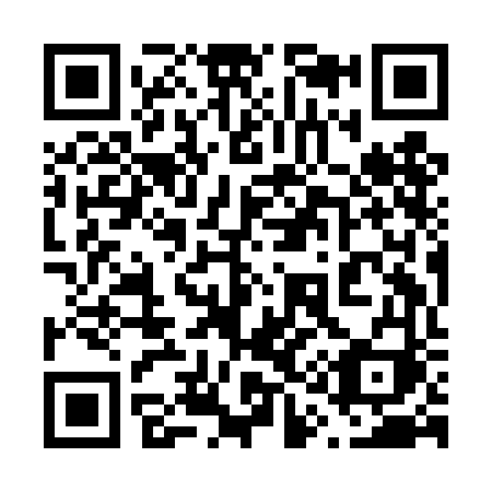 QR code for plate 619-DFI
