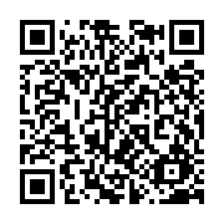 QR code for plate 619-ERN