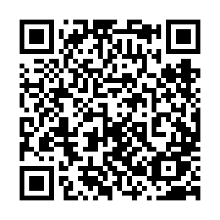 QR code for plate 620-FLU