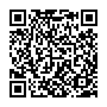 QR code for 630-TYS
