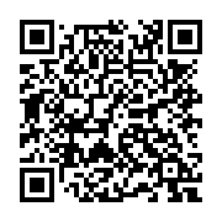 QR code for 638NSF