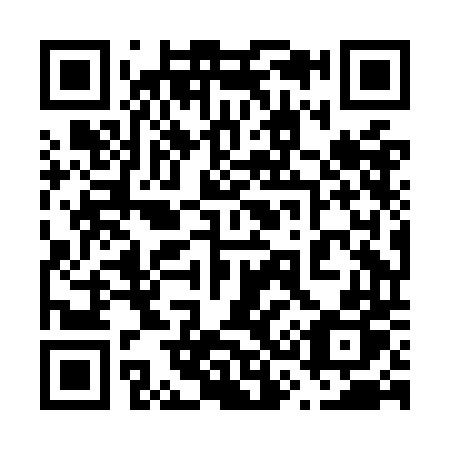 QR code for plate 638-ODP
