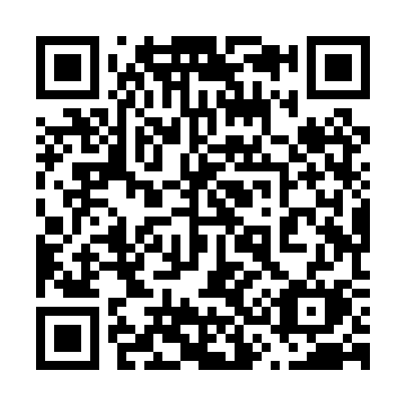 QR code for plate 638-PSM