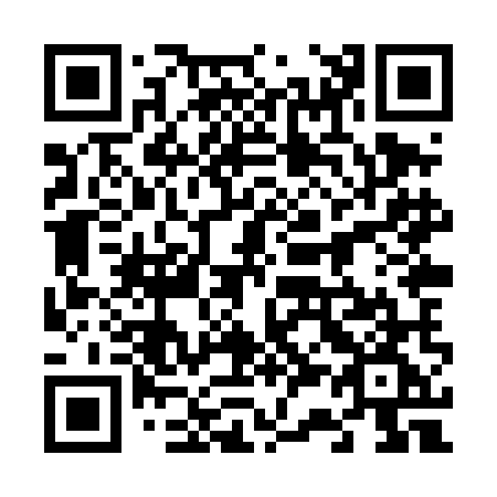 QR code for plate 638-TMG