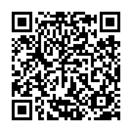 QR code for plate 638-VSL
