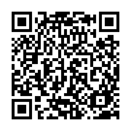 QR code for plate 638-WYG