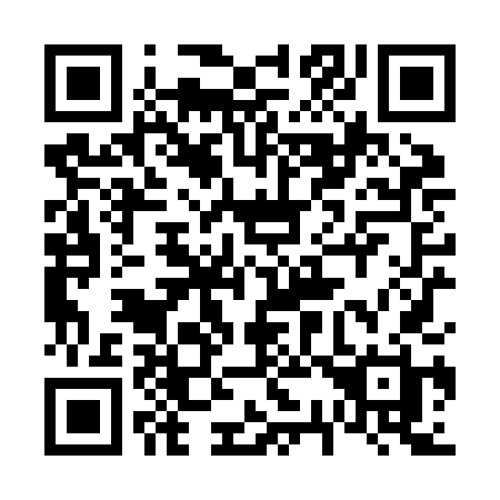 QR code for plate 638-ZDH