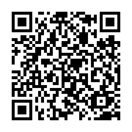 QR code for plate 641-FST