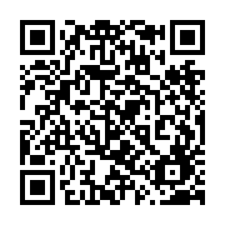 QR code for 645-NEF