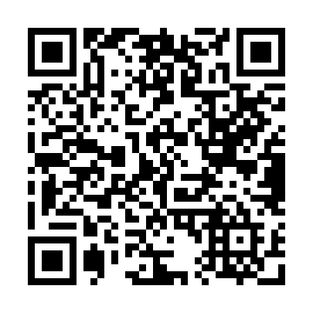 QR code for plate 645-RLE