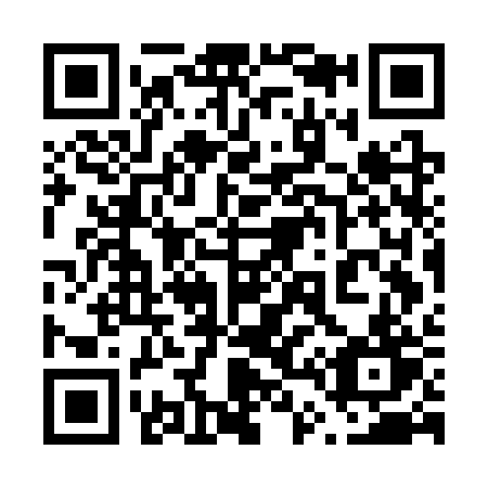 QR code for 647-CRT