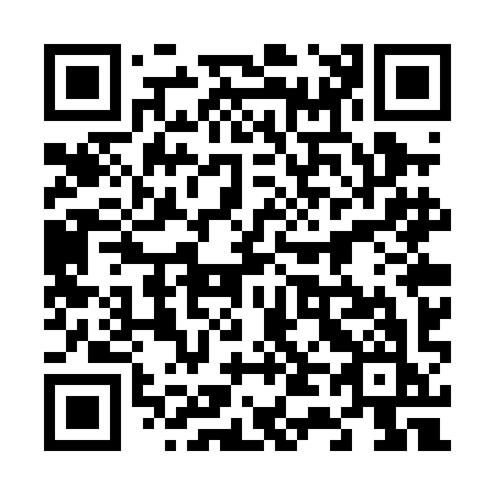 QR code for 647-PIK