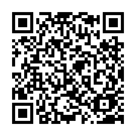 QR code for 647-SEE