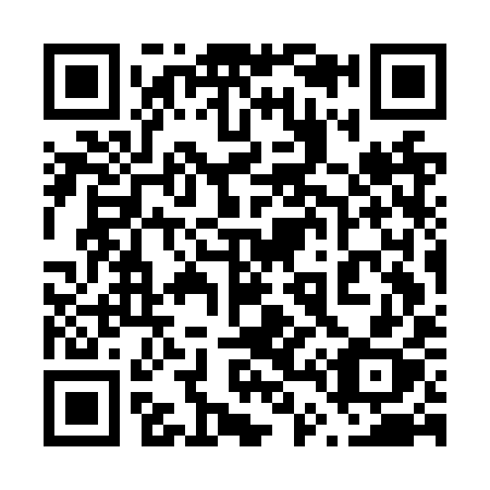 QR code for plate 647-NYX